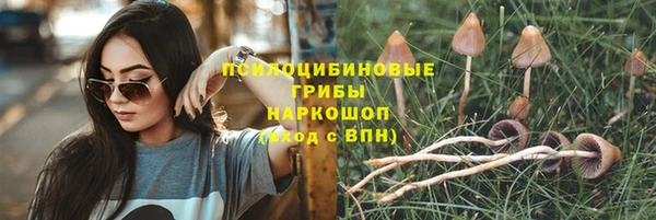 тгк Алзамай