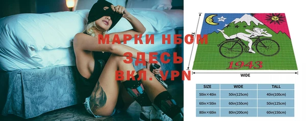 тгк Алзамай