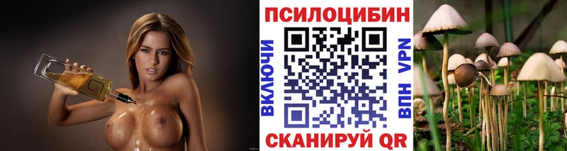 Купить  Полтавская  Галлюциногенные грибы мицелий 
